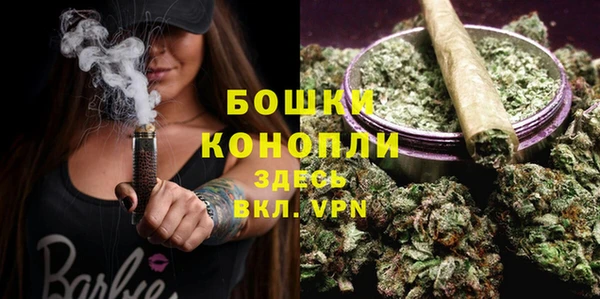 дурь Арсеньев