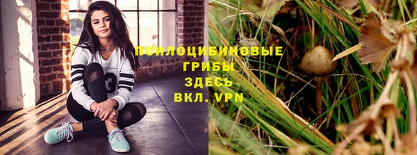 эйфоретик Армянск