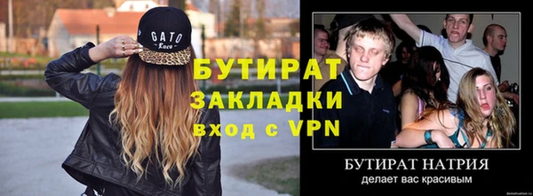 прущие грибы Каменногорск